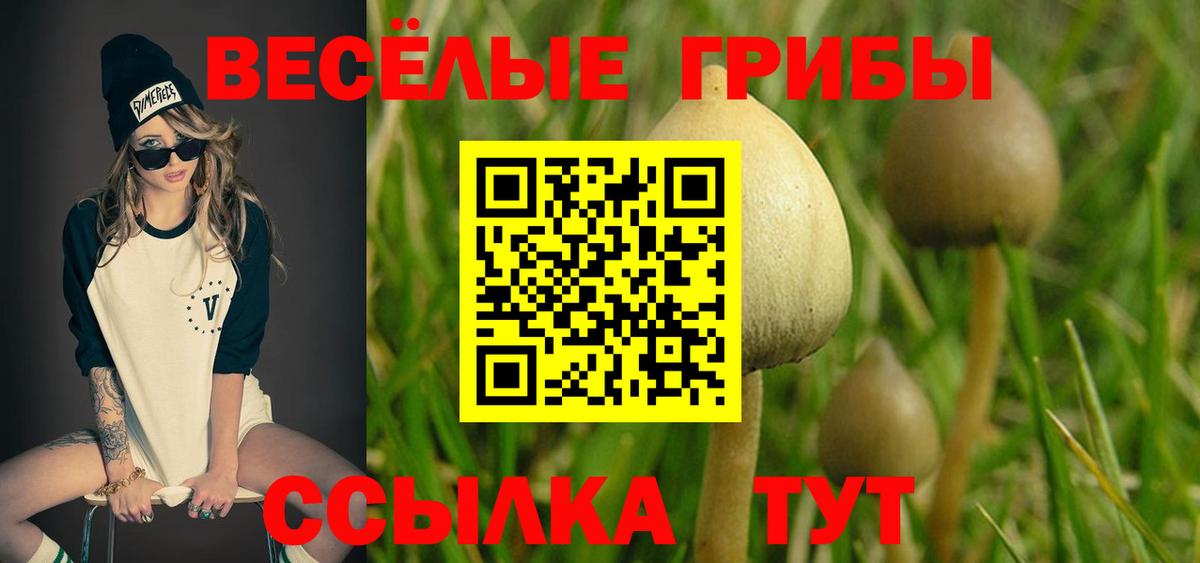 Галлюциногенные грибы Psilocybine cubensis Саратов