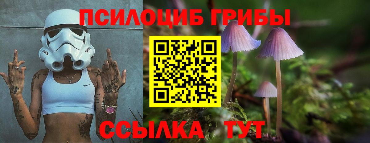 Саратов  Галлюциногенные грибы ЛСД  хочу   Вход с VPN 